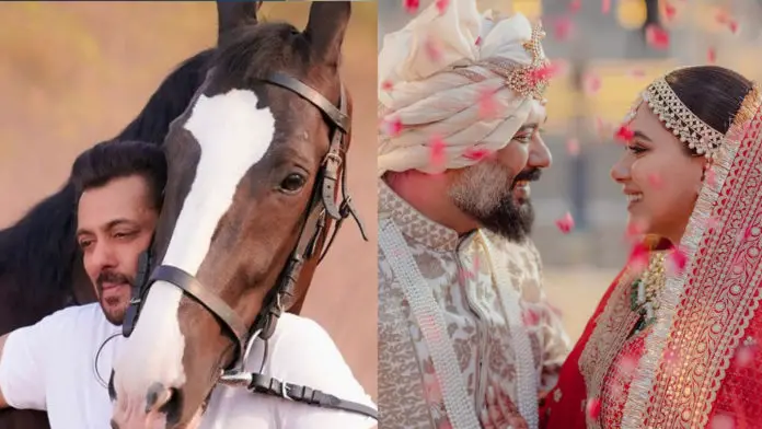 एंटरटेनमेंट टॉप 5 लव रंजन की शादी की तस्वीरों से लेकर सलमान खान के वीडियो तक EntPKS
