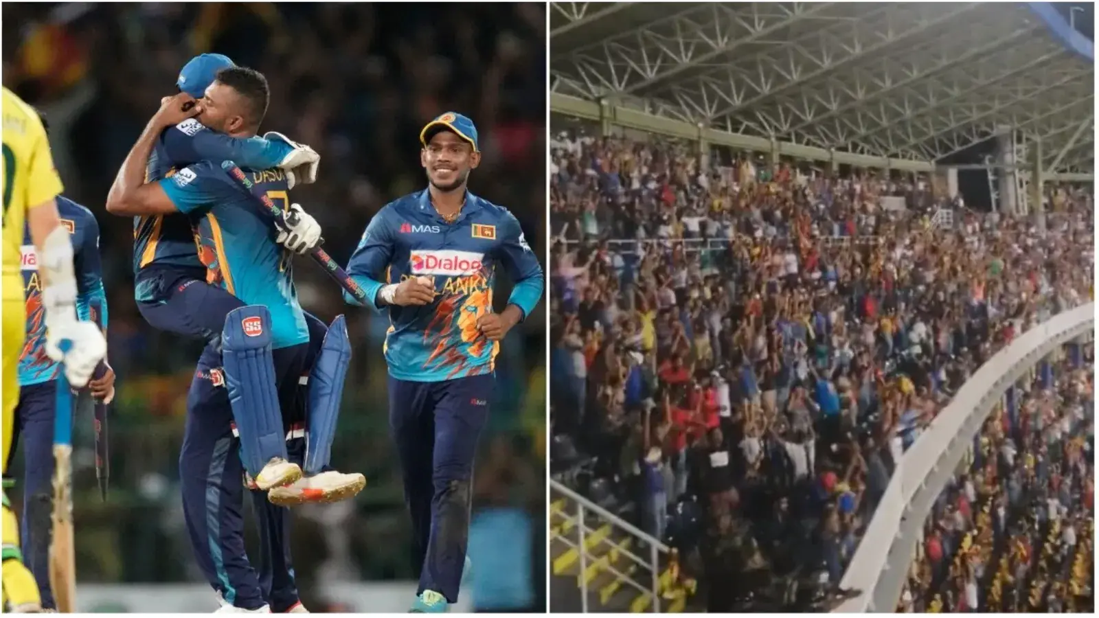  देखें: श्रीलंका की जीत के बाद प्रशंसकों के 'जंगली' होने के कारण कोलंबो में अविश्वसनीय दृश्य |  क्रिकेट

