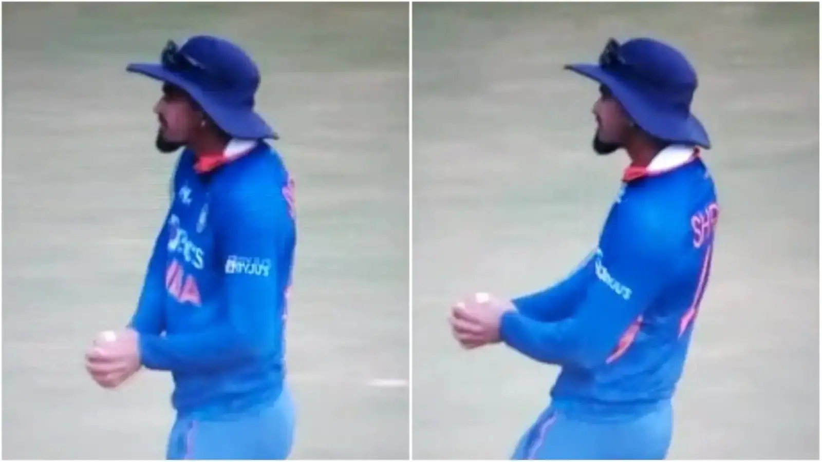  देखें: ब्रूक्स का कैच लेने के बाद अय्यर का अनोखा डांस सेलिब्रेशन वायरल |  क्रिकेट
